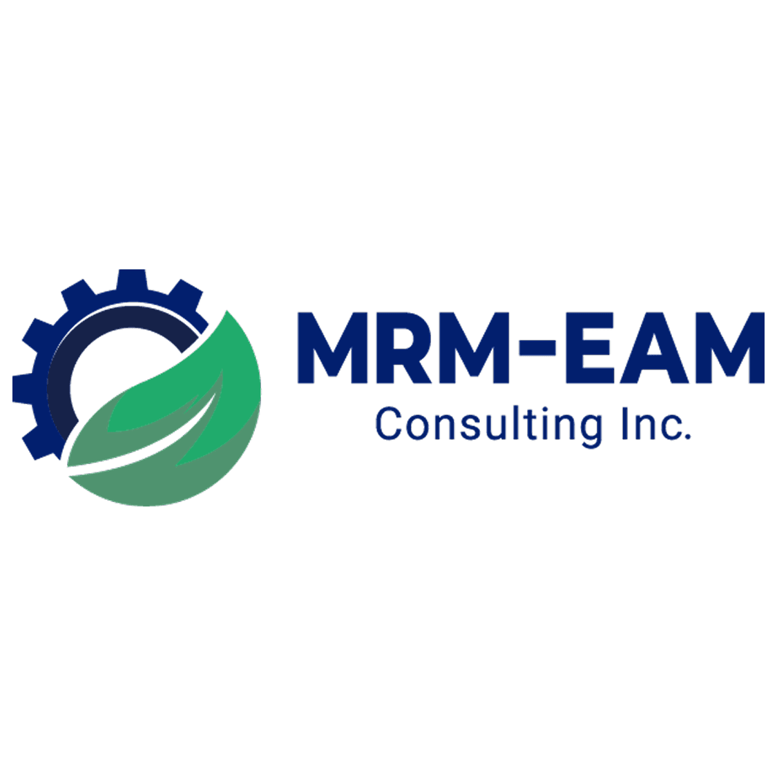 MRM-EAM Consulting Inc.